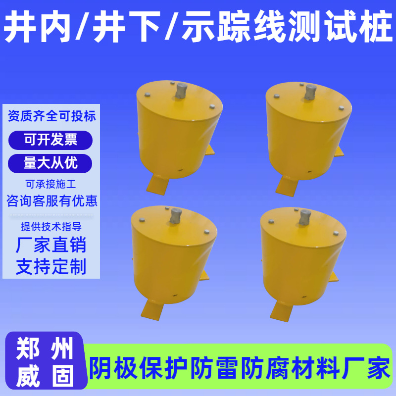 示踪线小型井式测试 圆头小型管道电位电流绝缘性能多功能测试桩