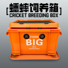 �����űȁ���B�����������Bֳ����^���Bֳ���ͺ��J���