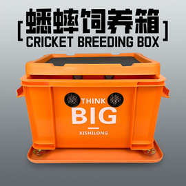 蟋蟀蟑螂杜比亚饲养箱爬宠白蟋蟀养殖盒针头蟋蟀养殖盒油葫芦饲料