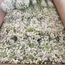 仿真满天星仿真花婚庆手捧花外贸仿真花批发108头塑料假花ins风