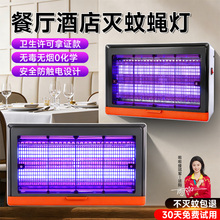 ���õ���Ӭ�Ʋ�Ӭ��׽�����ڼ��ò�������������������������383
