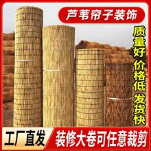 �JȔ���������������ꖲݺ����JȔϯ���Ҡ����b���b�޲ݺ�