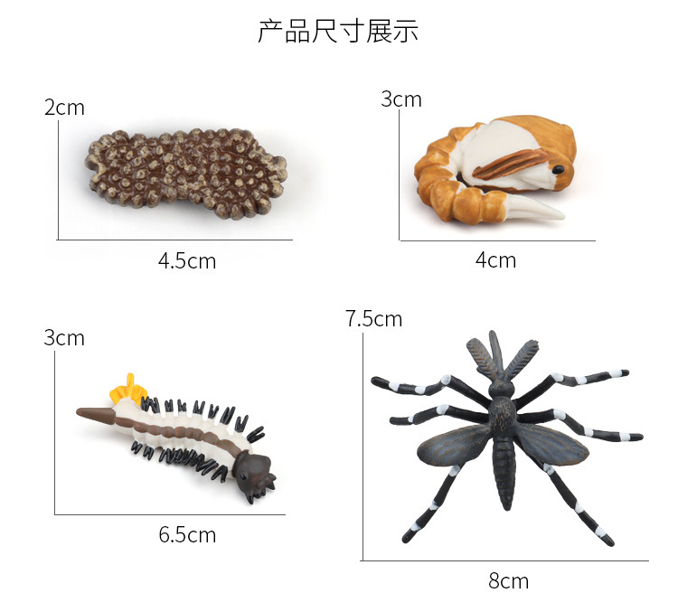 生长周期内页_11