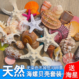 ��Ȼؐ���~���쾰�b��ֹ�diy���ľ�з��ؐ�~���Ư��ƿ���ݺ���