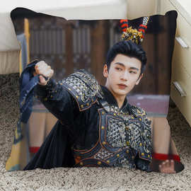 逐玉周边抱枕张凌赫图片双面diy制作枕头田作之赫海报靠枕靠垫