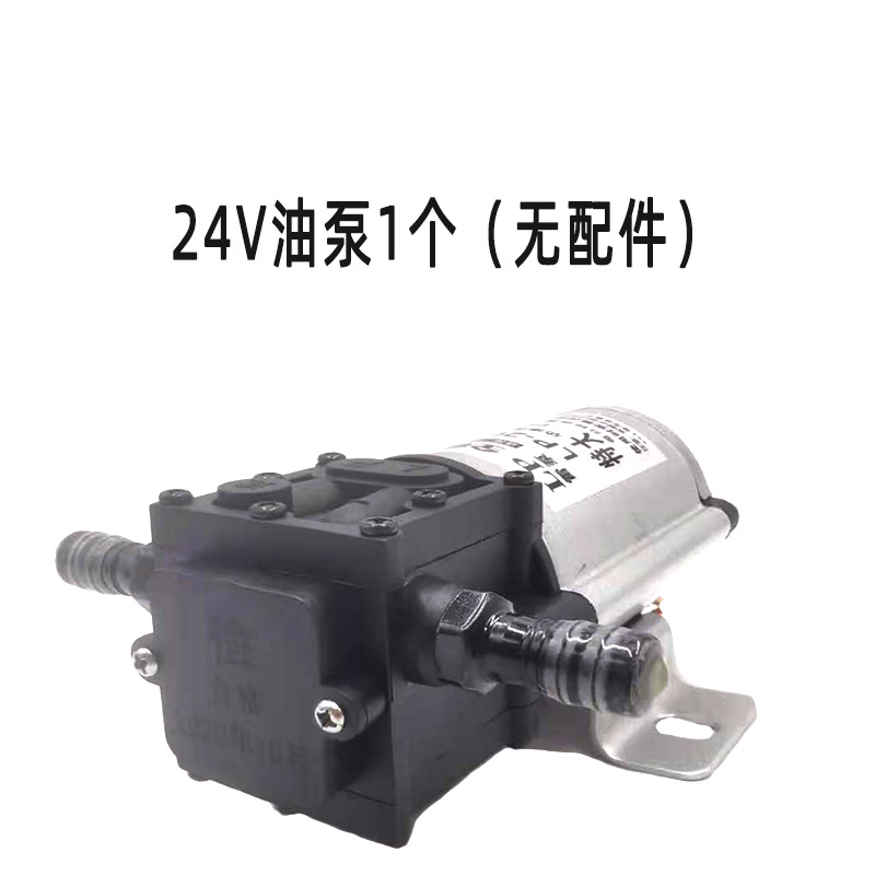 Bomba de gasolina bomba de bombeo eléctrica 12V24V220V bomba de autoaspiración bomba diesel de corriente continua bomba bomba bomba de trueno