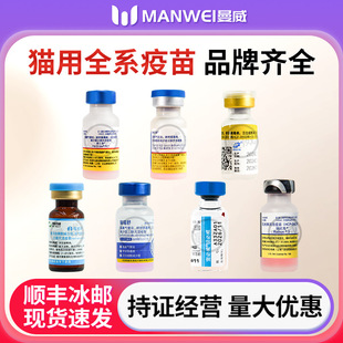 �T�v�x������������؈���M�ڇ��a؈��؈�Ì���؈��؈؈����