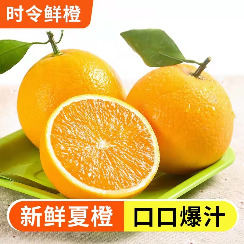 【Juicing】Zigui summer oranges fresh seasonal fruit juicy tangy delicious for pregnant women