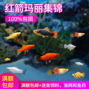 �ڬ����~�^�p�~�Ꭷ�~�����~�¹�̥���~Ƥ���~�t���~��ˮ���B�ͻ�