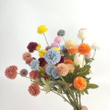 5�^С���ƹ�Ҿշ��滨��c��Y�þƵ�Ҿ��b廨��ˇ�[�O�ٻ�
