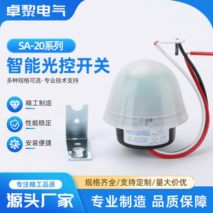 ����_�PSA-20����Ԅ���·������й����⾀�Б��й������220V