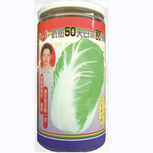 ��ꖹ������߲˷N���ձ�50������ꖴ�ײ˹��b������@�̨ͥԺ