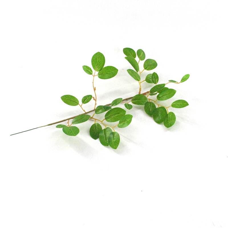 XRB-254 檵木叶单枝33叶0 (7).jpg