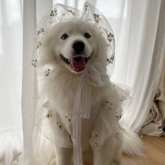 ペット犬中大型犬春夏冬服薄いウェディングドレススーツウェディングドレス結婚式サツマゴールデンレトリバー
