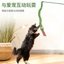 工厂现货批发宠物用品跨境亚马逊爆款大眼蛇逗猫棒玩乐互动猫玩具