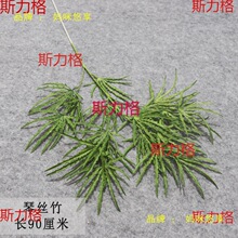 �Gɫϵ��c���滨�� ɭϵ��Y�õ�픱����� ·�����żٻ����ϻ�1