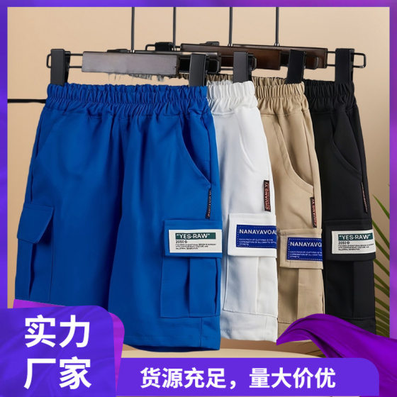 Boys' Shorts 2025 Summer New Student Workwear Shorts Casual Children's Korean Style Trendy Pants