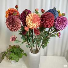 ĥë۴ ܛbӼҲÔ[ˇ czӰ߷滨廨