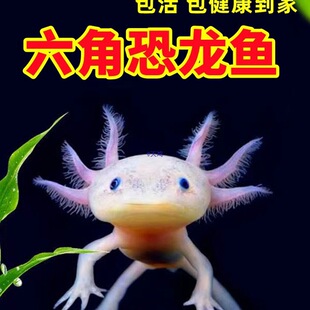 ���ǿ����~һ��һĸ�W�t������ˮ��ˮ�~�^�p�~���B����ϔ󢌙���~