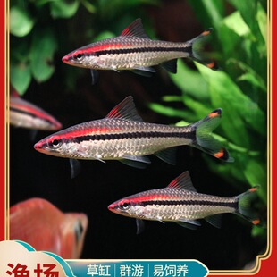 �tüһü�����~���~С�Ͳݸ��^�p�~�Ꭷ��ˮ�����~���w���������~