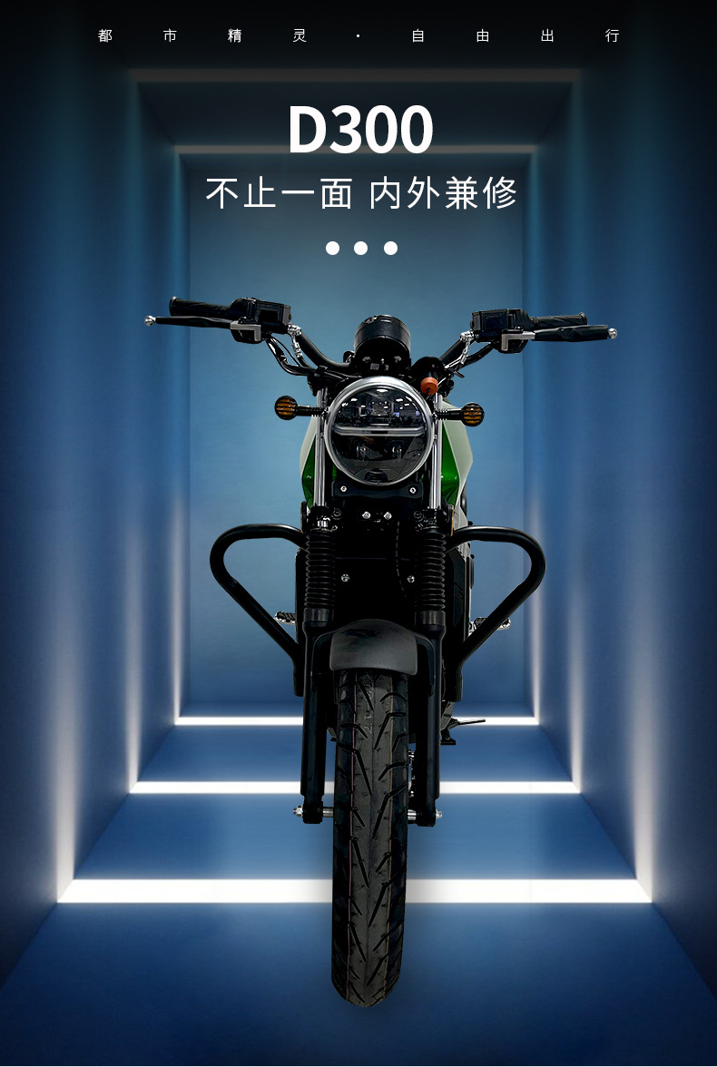 Cross-Border Direct Supply D300 Electric Motorcycles for Men and Women, Adults, Foreign Commuting, Complete Vehicle, Electric Motorcycles, Export