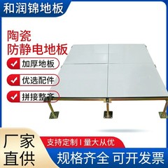 セラミック表面帯電防止床学校コンピュータ室オフィスビル高架アクティビティタイル帯電防止カスタム卸売