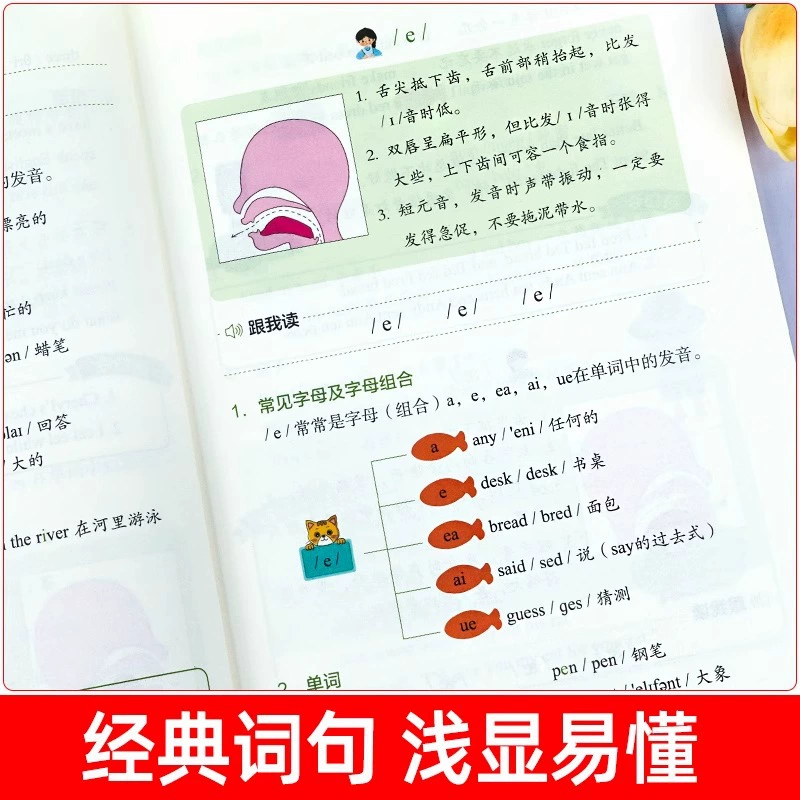 English International Phonetic Code Primary School Student English Phonetic Code and Natural Spelling Introductory Textbook Learning Artifact Phonetic Code