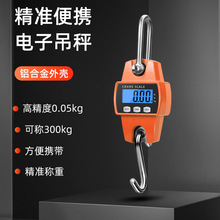 ��ӵ��Q�߾���������h 300kg 500kg ��N��λ��yʽ���I���h��