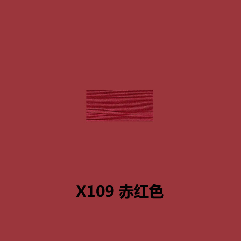 X109