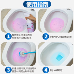 Floral Toilet Bowl Cleaner, Toilet Seat Cleaner, Tile Cleaner, Powerful Odor and Urine Stain Remover, Fresh Scent Bathroom Toilet Cleaner