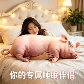 仿真猪毛绒玩具公仔装饰数码印花立体