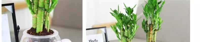 967cb31d-6869-455c-9e45-997577d02d94.jpe