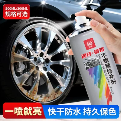 Avtomobil boyası Metal Anti-Rust Paint, Silver