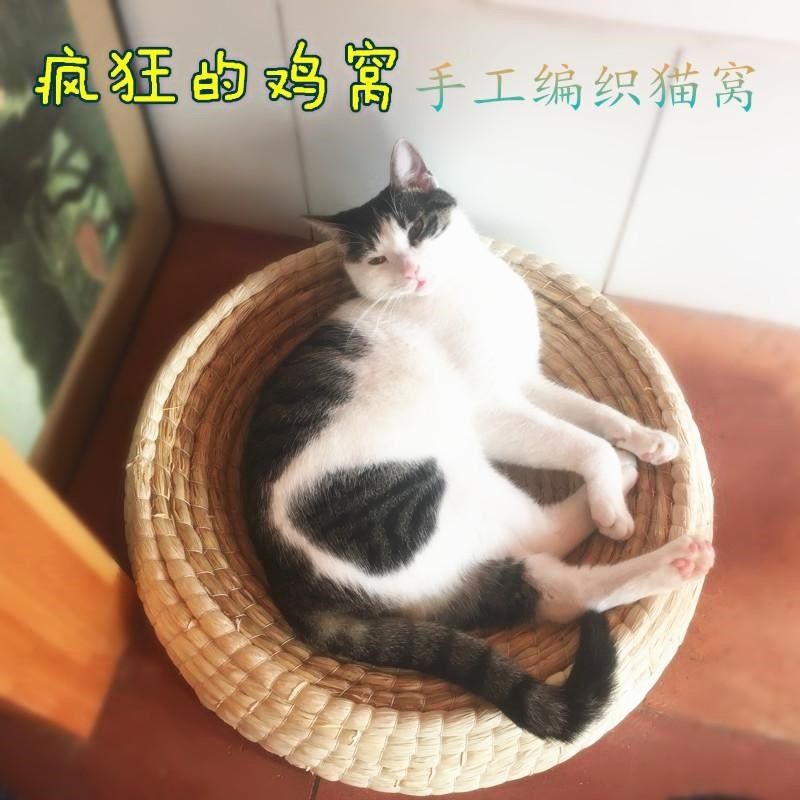 O1CN01cgCQMk1HP5aQKonZz_!!2217507310749-