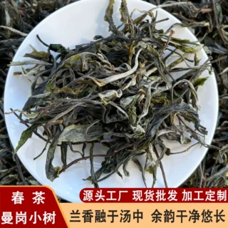 春茶批发2026年曼岗小树头春采源头厂家定制送礼普洱生茶散茶500g