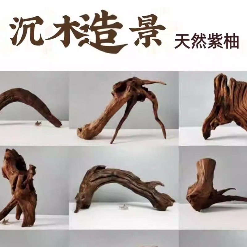 杜鹃根栖根紫柚木沉木鱼缸水草缸树枝树根造景沉木一木成景|undefined