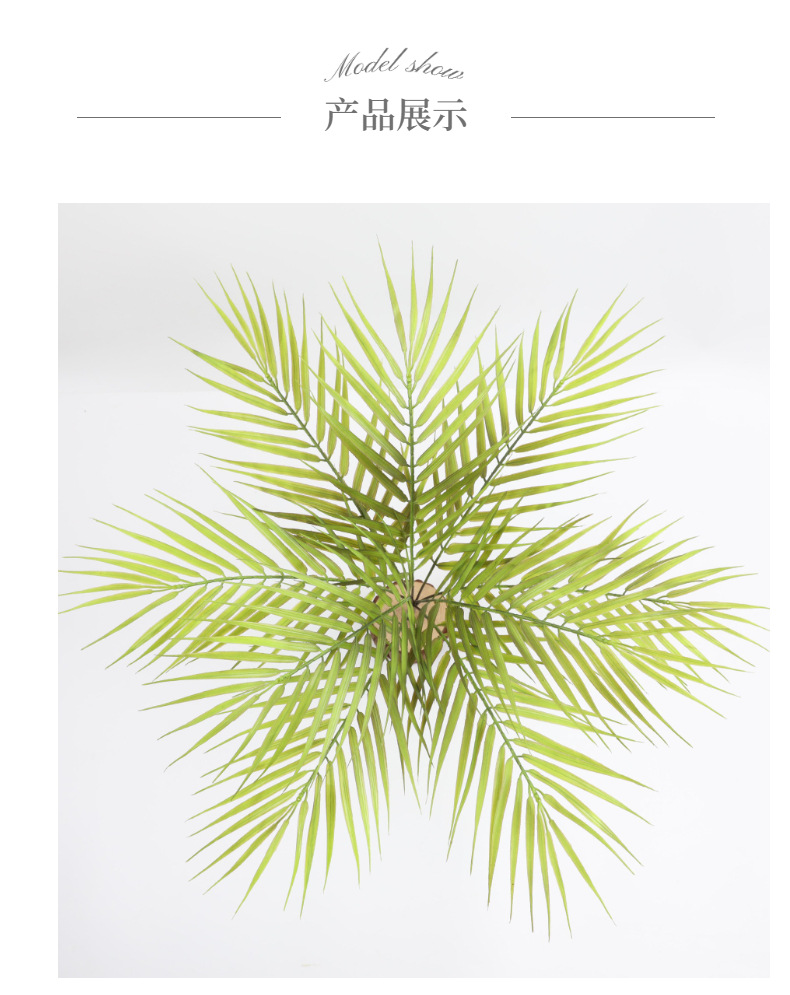 模特展示1 (7).jpg