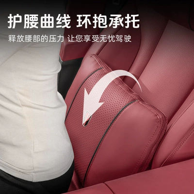 and Lumbar Support Car | Headrest