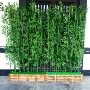 仿真植物户外塑料竹子