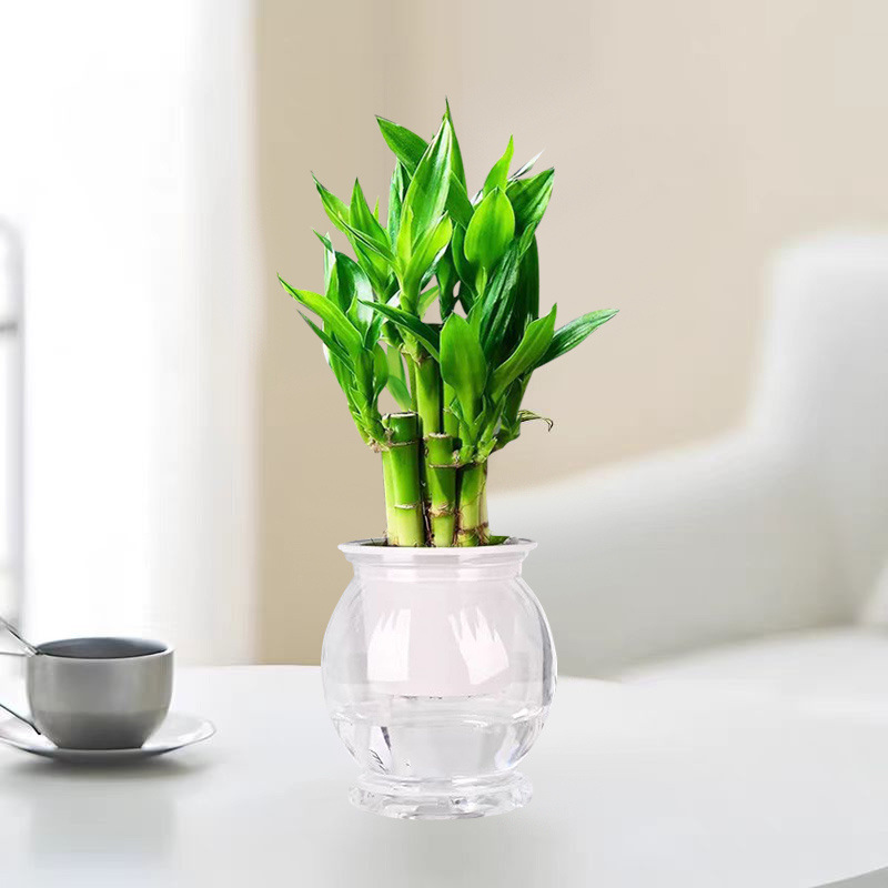 e5cc32f1-6ccf-43c1-9dcf-a3eac6a47588.jpe