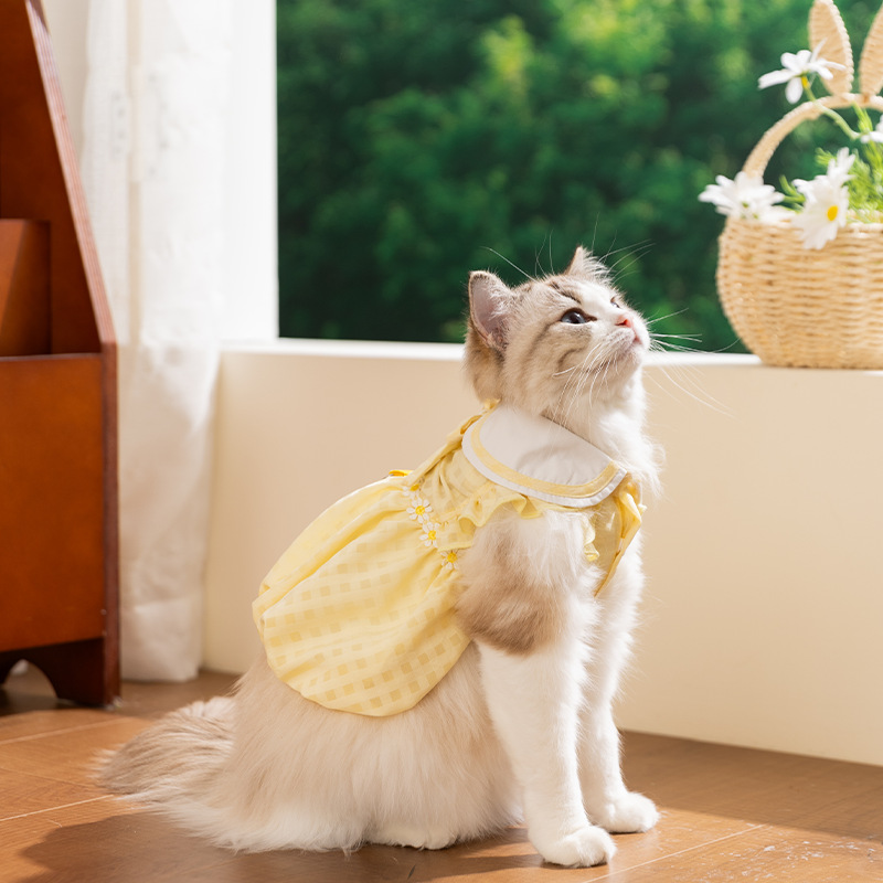 26 años de nueva primavera y verano ropa de gato tracción vestido vestido de princesa ropa de perros pequeños y medianos ropa de mascotas