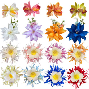 �W���ȼ��L�����߅�l�A�����u���������l����A����������ΰl�