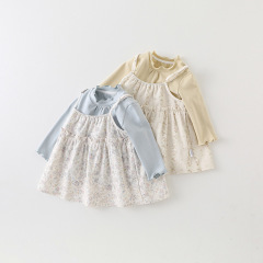 婴幼儿衣服秋季新款女童长袖裙子套装女宝连衣裙打底衫两件套 a类
