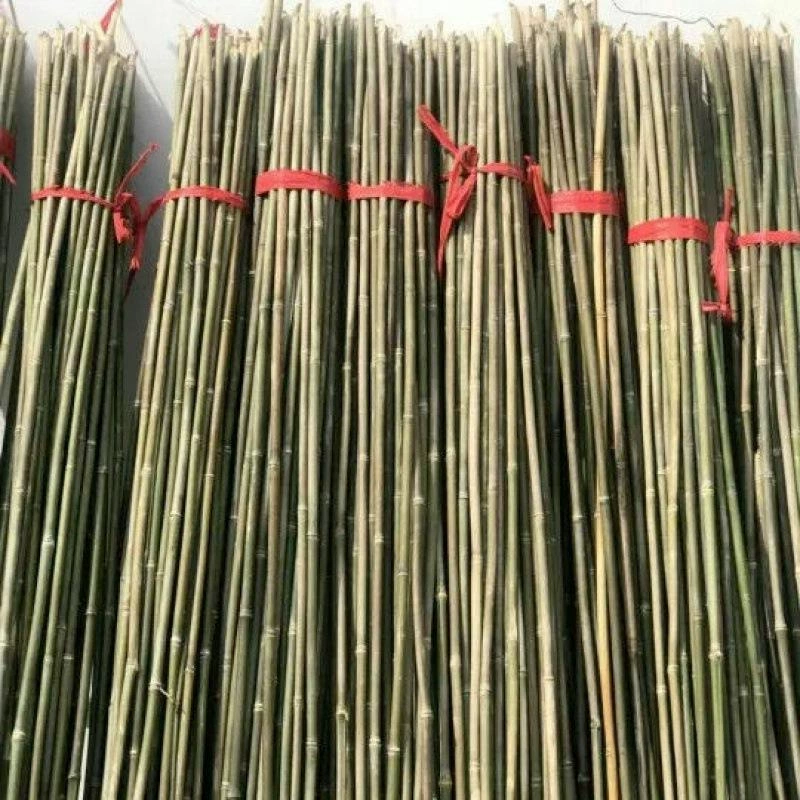 Q2 бамбуковый столб оптовая продажа небольших овощей