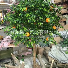 ����ˮ�������ӎ�֦���ӷ�����ģ�ͷ���ɳ�ǽ�ɰ���ۙ����b�