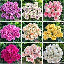 .�r�����]���ֱ�l���տ���ˮ�ٺ�õ�����r�����滨����ֱ���Y