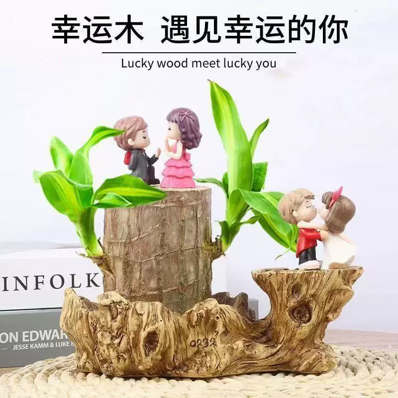 Бразильское дерево Groot, гидропонное дерево Lucky Wood, гидропонные цветы, домашний балкон, летнее средство от комаров, зеленое растение в горшке Lucky Wood