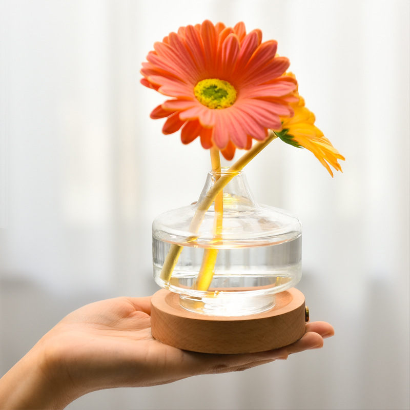 Creativo ins estilo jarrón para dormir lámpara de mesa hogar sala de estar dormitorio lámpara de noche florero hidropónico USB recargable luz de la noche