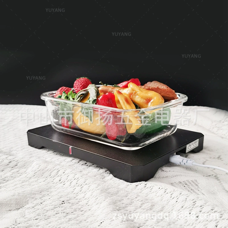 Производители источников-электрическая грелка для ланча Автомобильная изоляция нагревательный обед профессиональные экспортные заказы