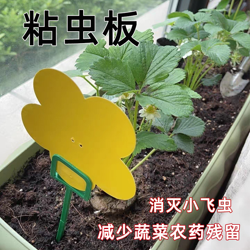 household Two-sided Yellow plate Armyworm board balcony Vegetables Potted plant Black Drosophila melanogaster Trap Ground insertion Bug